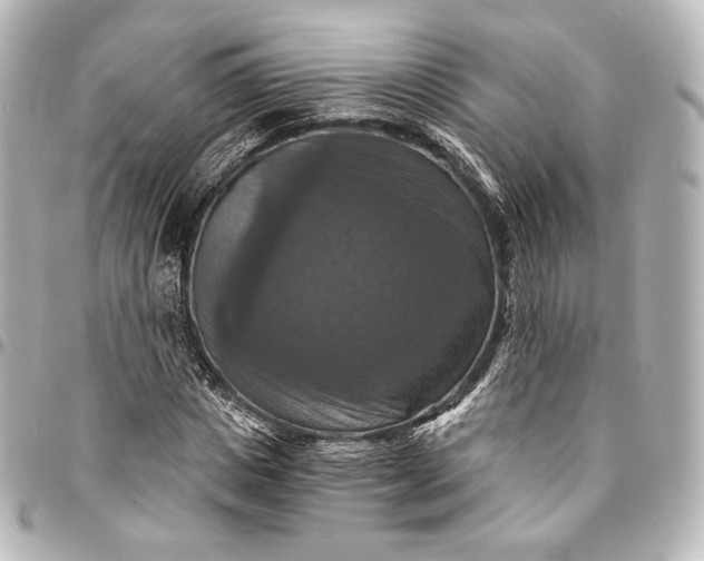 X0000095550825200712281604