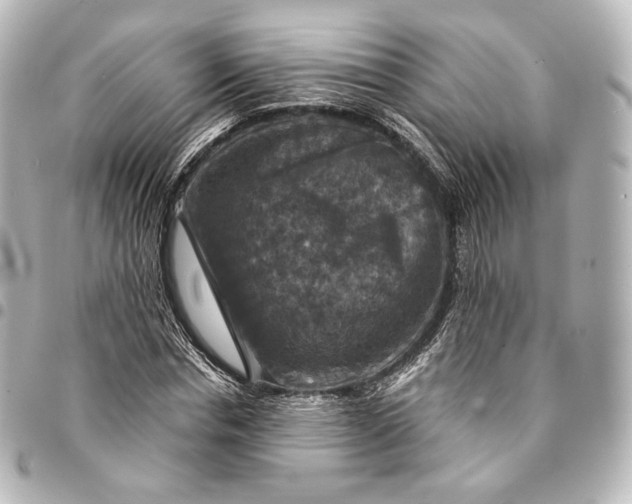 X0000095550826200712281604