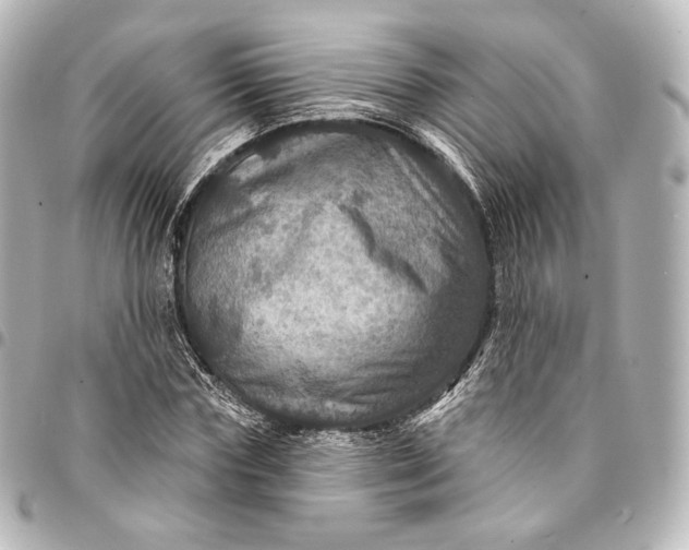 X0000095550827200712281604