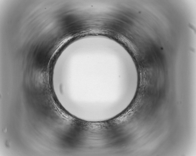 X0000095550828200712281604