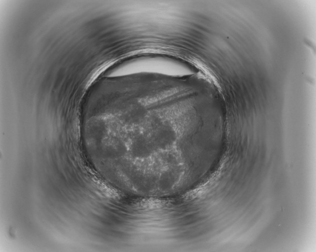 X0000095550829200712281604