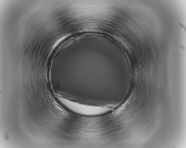 X0000095550830200712281604