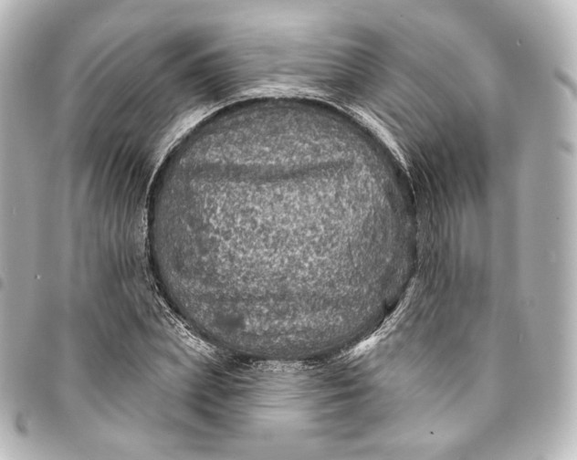 X0000095550831200712281604