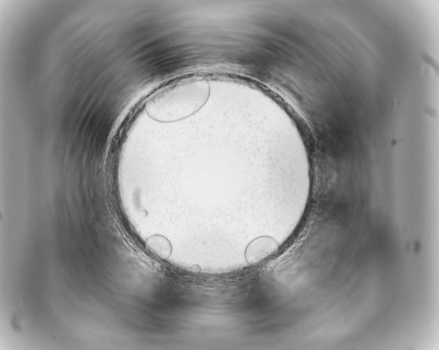 X0000095550832200712281604