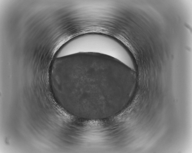 X0000095550834200712281604