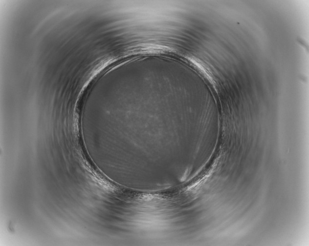 X0000095550835200712281604