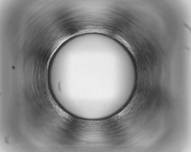 X0000095550836200712281604