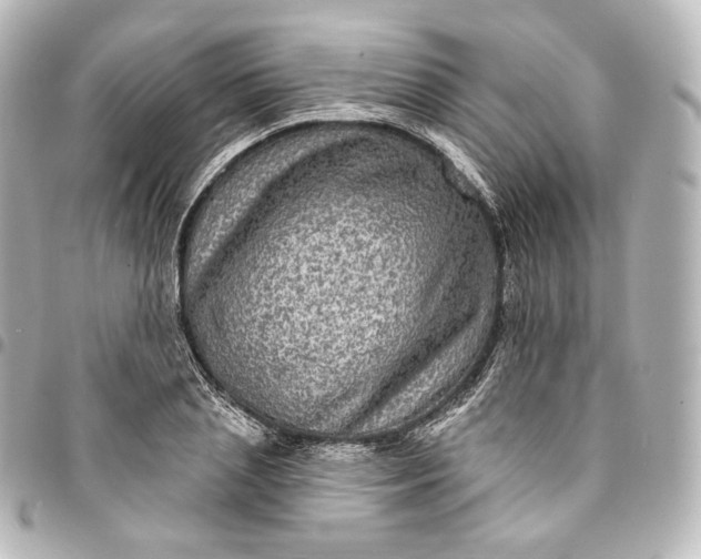 X0000095550837200712281604