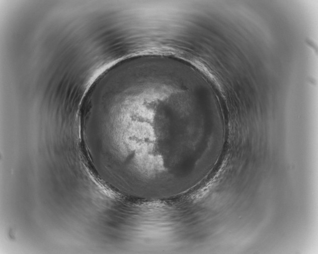 X0000095550838200712281604