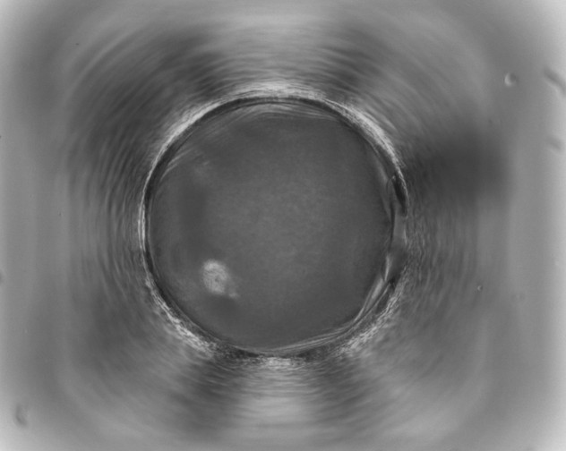 X0000095550839200712281604