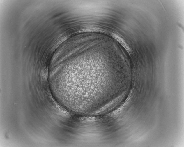 X0000095550841200712281604