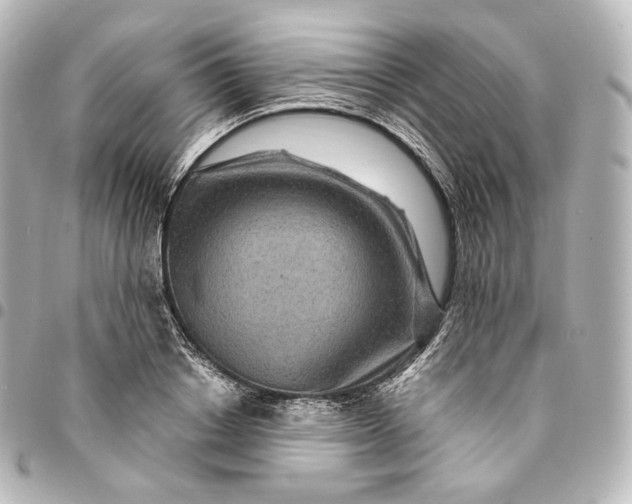 X0000095550842200712281604