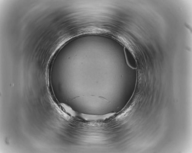 X0000095550843200712281604