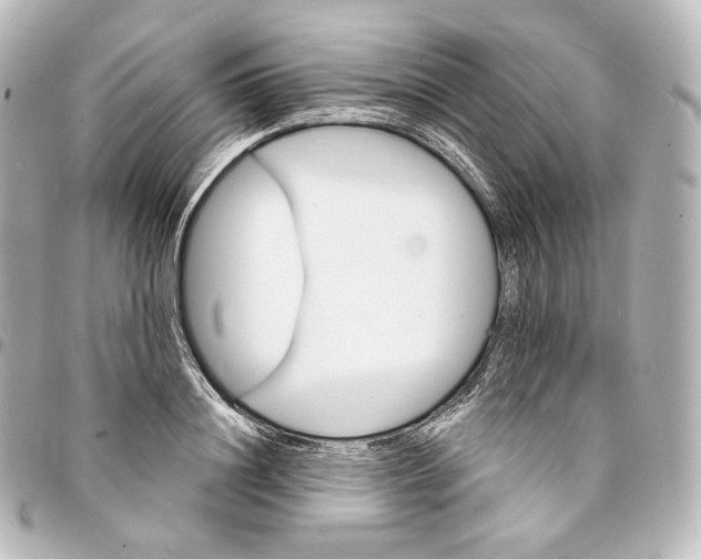 X0000095550844200712281604