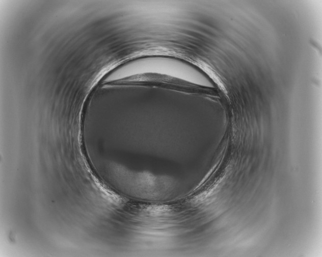 X0000095550845200712281604