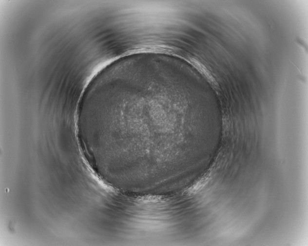 X0000095550846200712281604