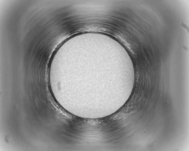 X0000095550848200712281604