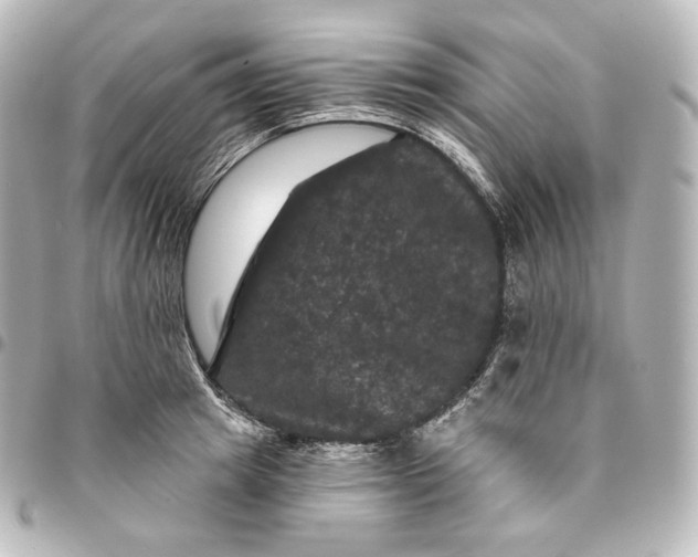 X0000095550849200712281604