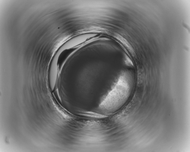 X0000095550850200712281605