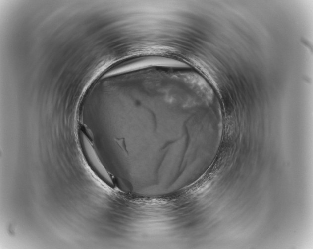 X0000095550851200712281605