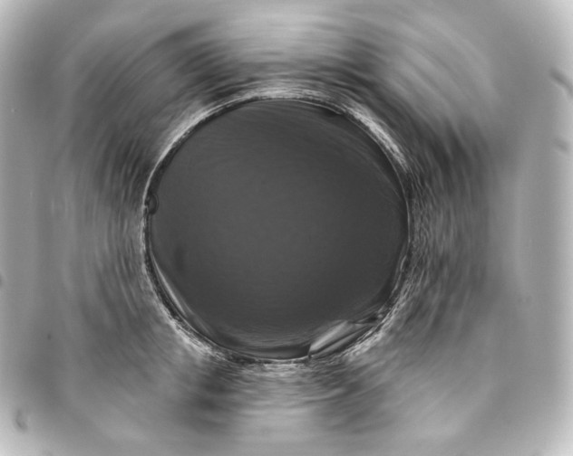 X0000095550853200712281605