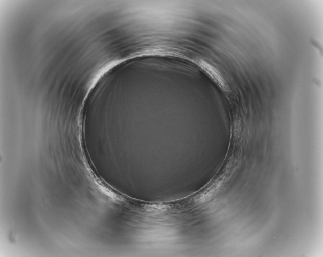 X0000095550854200712281605