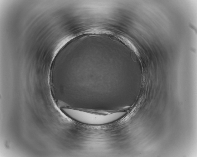 X0000095550855200712281605