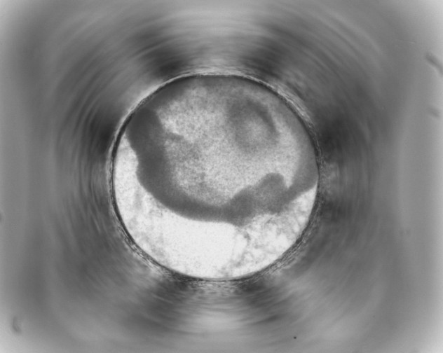 X0000095550856200712281605