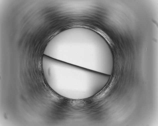 X0000095550857200712281605