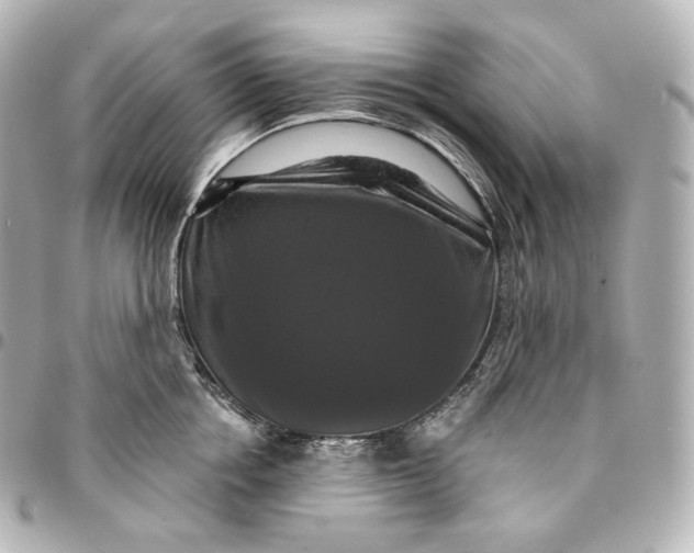 X0000095550858200712281605