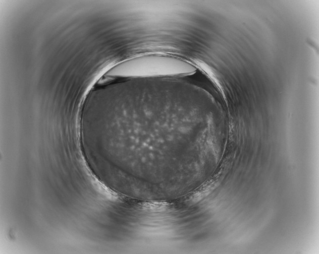 X0000095550859200712281605