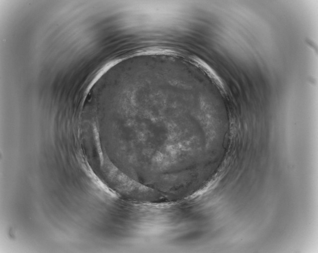 X0000095550860200712281605