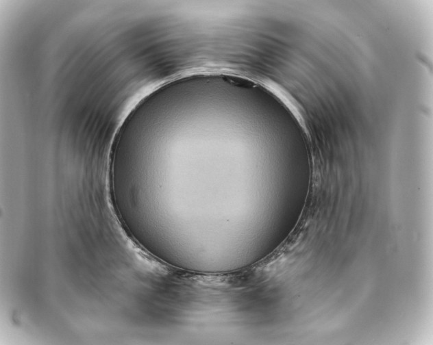 X0000095550861200712281605