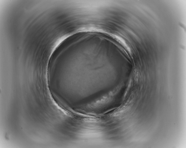 X0000095550863200712281605