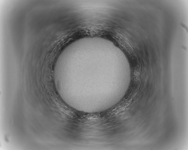 X0000095550865200712281604