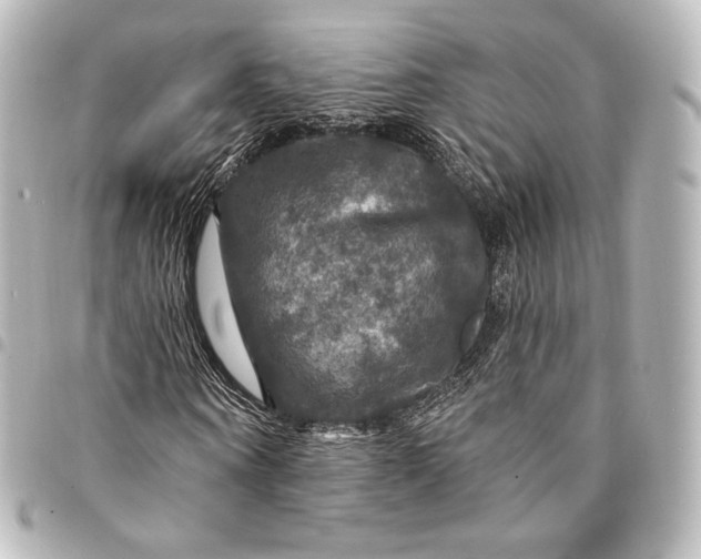 X0000095550866200712281604