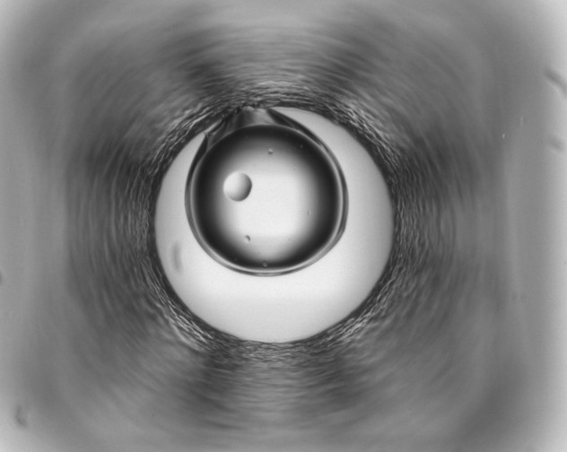 X0000095550868200712281604