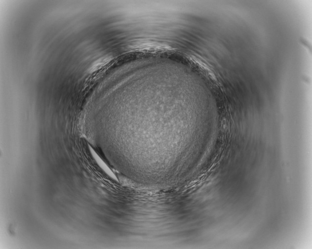 X0000095550869200712281604