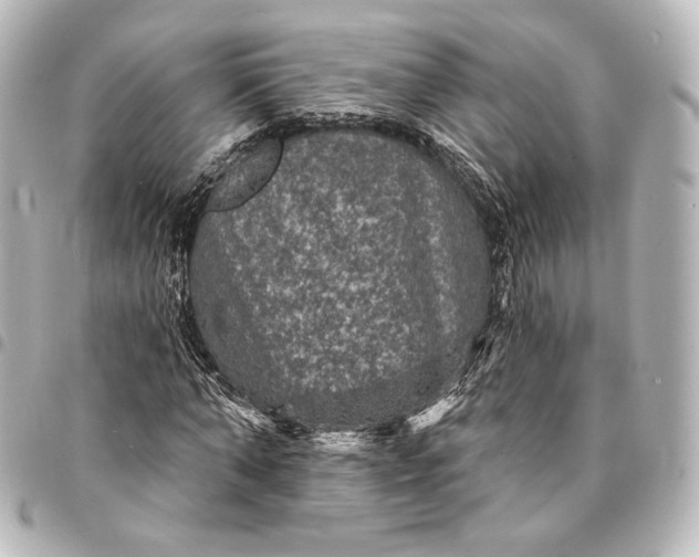 X0000095550870200712281604