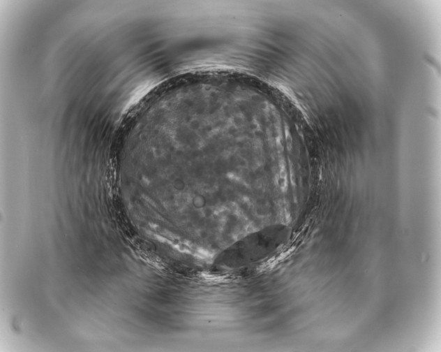 X0000095550871200712281604