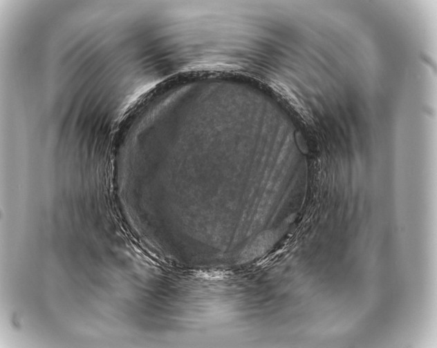 X0000095550872200712281604