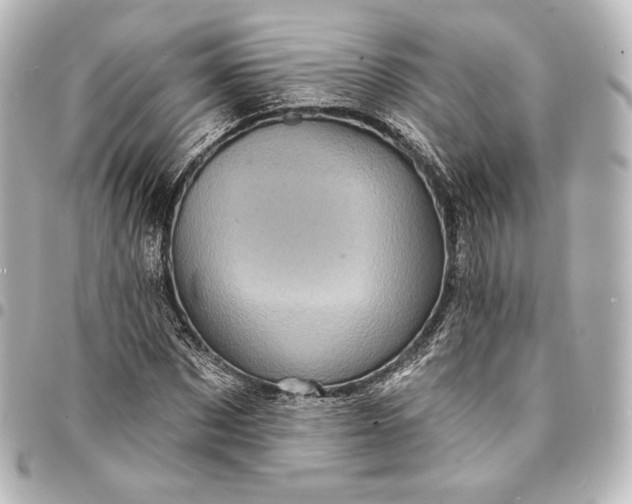 X0000095550873200712281604