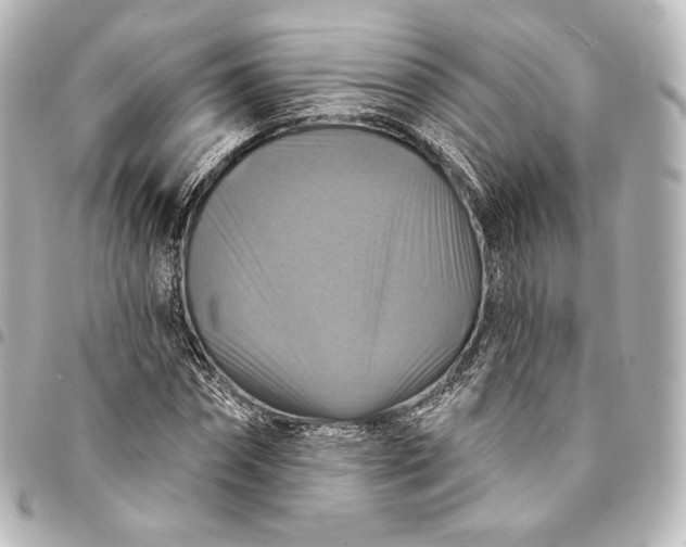 X0000095550874200712281604