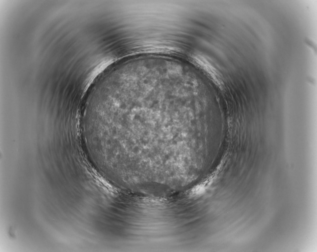 X0000095550875200712281604