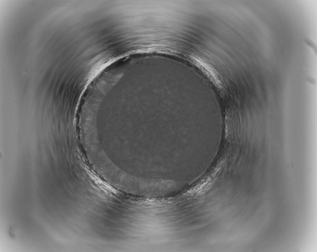 X0000095550876200712281604