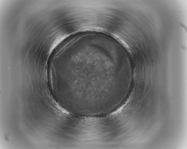 X0000095550877200712281604