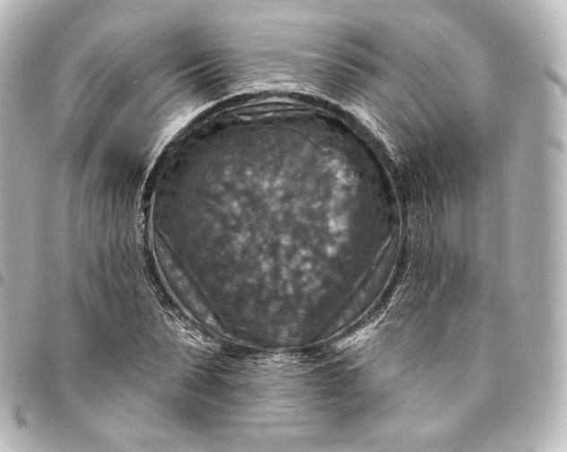 X0000095550879200712281604