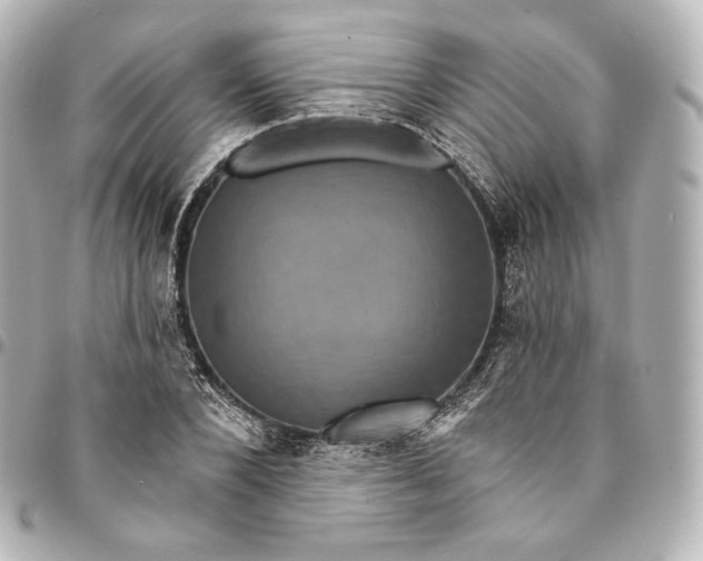 X0000095550880200712281604