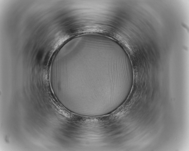 X0000095550882200712281604