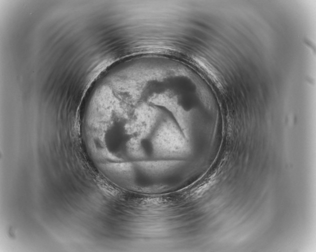 X0000095550883200712281604